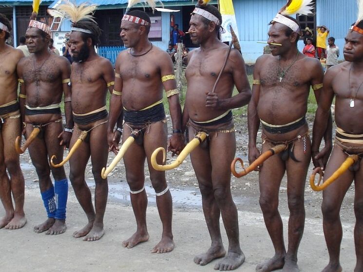 Papuans with increased members